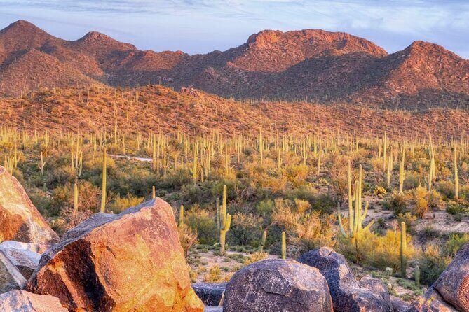 Saguaro National Park East E-Bike Tour - Saguaro National Park East E-Bike Tour: An Insider’s Look
