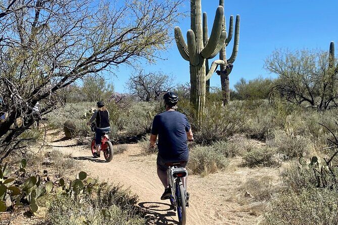 Saguaro National Park East E-Bike Tour - Considerations and Practical Tips