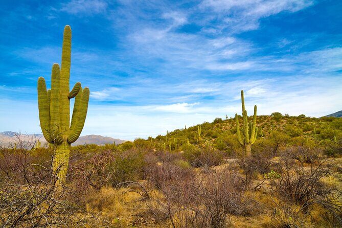 Saguaro NP and Mt. Lemmon Self Guided Driving Audio Tour Bundle - Key Points