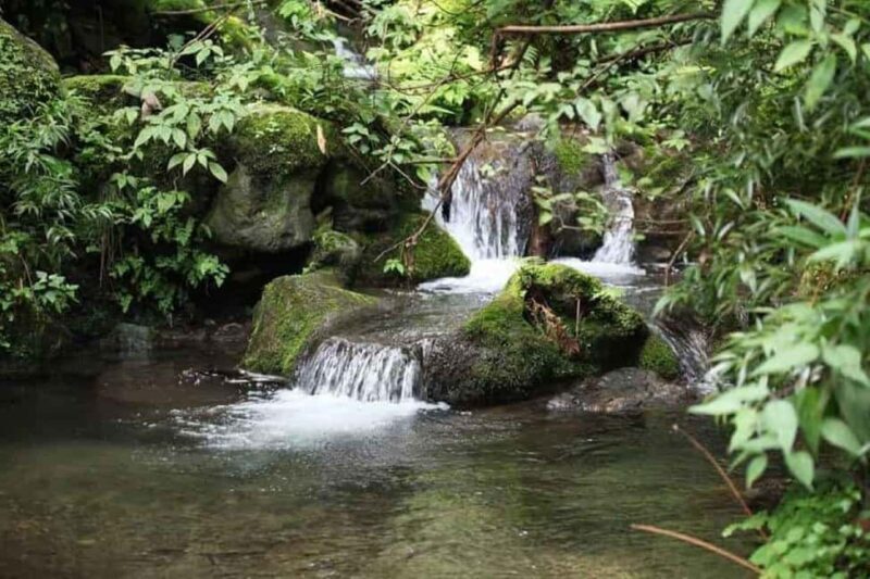 Saharanpur Uncovered: A 2-Day Escape into Culture & Craft - A Well-Rounded Introduction to Saharanpur