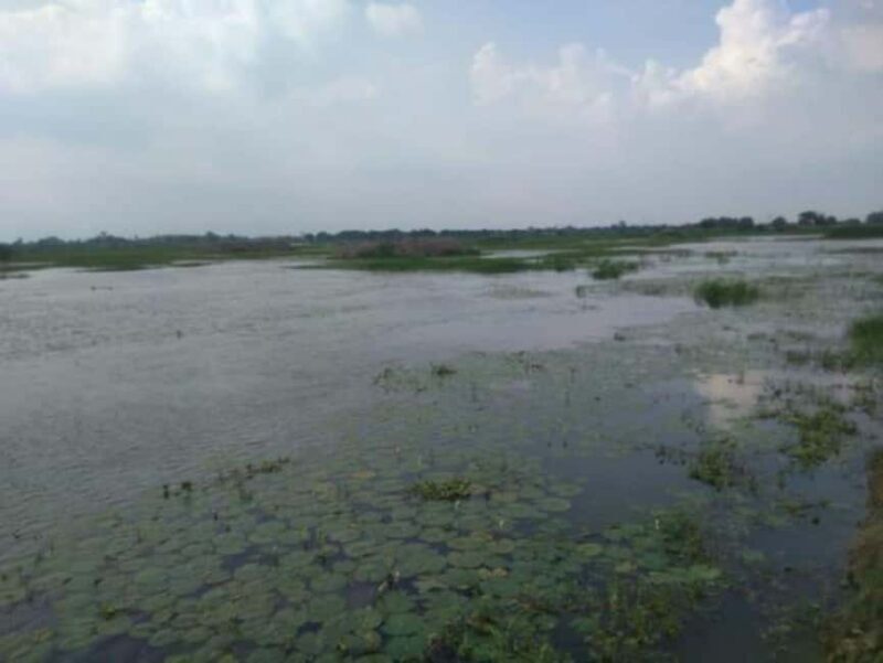 Saharanpur Uncovered: A 2-Day Escape into Culture & Craft - Deep Dive: The Value of This Tour