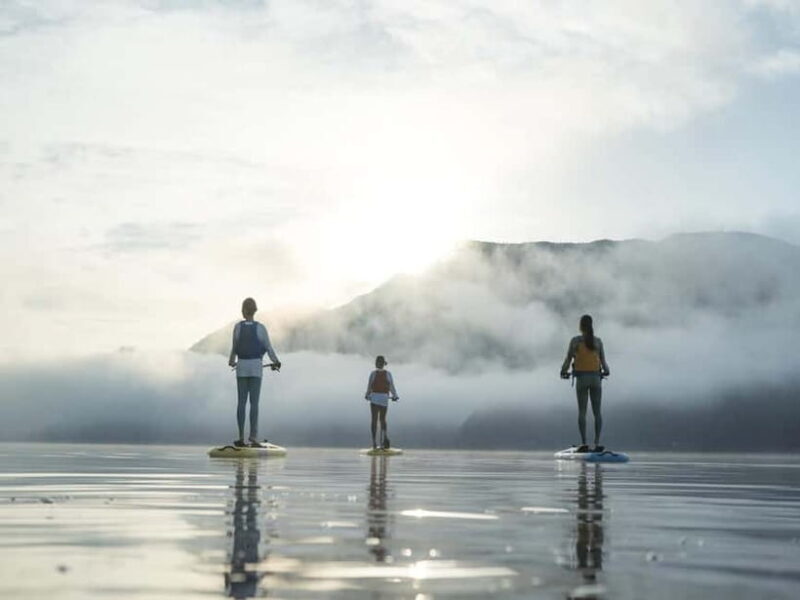 Saiko Lake: Hobie Watersports with Mount Fuji View - Key Points