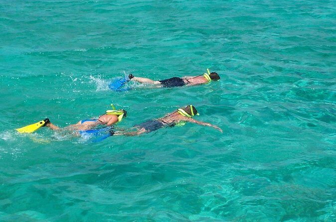Sail and Snorkel at Cades Reef - The Sum Up: Is This Tour Right for You?