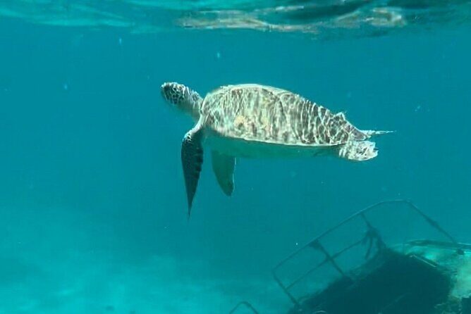 Sail and Snorkel Private Charter - Half Day Morning - FAQ