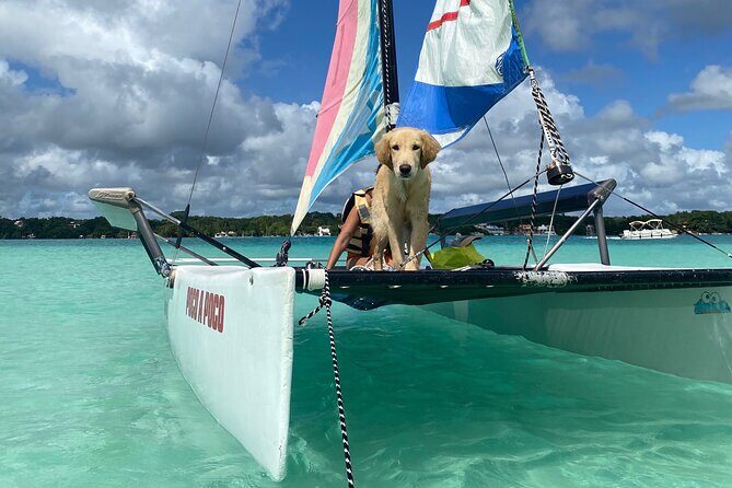 Sail away! Hobie Cat Tour Bacalar - An In-Depth Look at the Hobie Cat Tour in Bacalar
