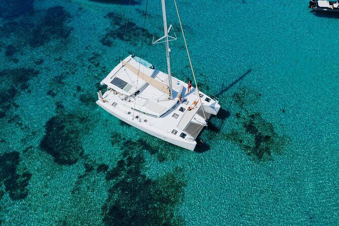 Sail the Athenian Coastline on a Catamaran with Meal & Wine - Pricing & Value