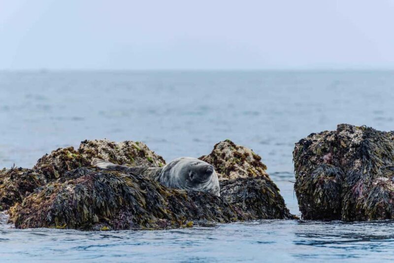 Sail to the heart of the bay. - Exploring the Brittany Coast from the Water