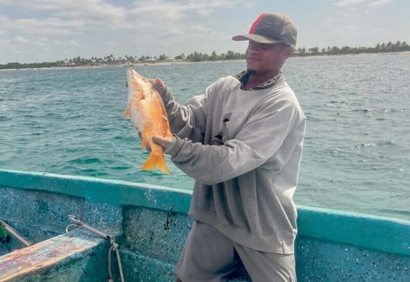 Sail tour to Catalina Island from La Romana - Why This Tour Offers Excellent Value