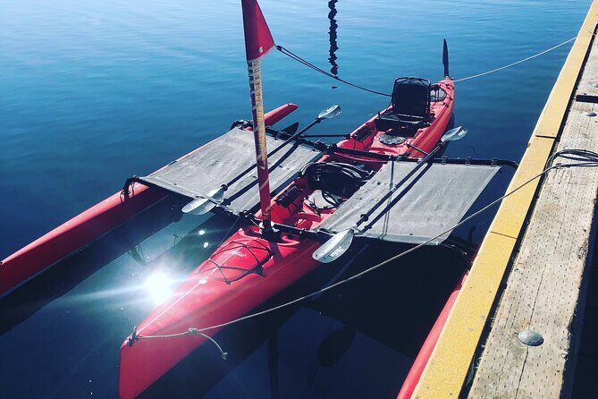 Sailing Alaska's Inside Passage 4 Day Private Tour - An In-Depth Look at the 4-Day Private Sailing Tour