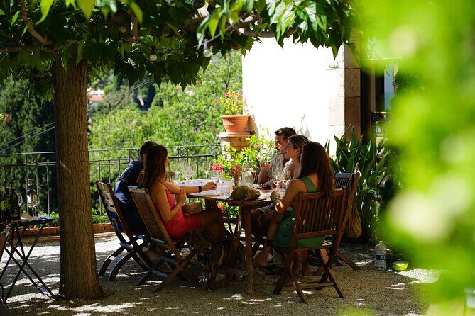 Sailing and Wine Tasting Experience Small Group in Barcelona - Who Would Enjoy This Tour?