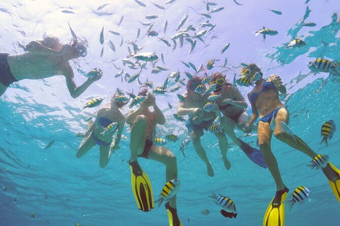 Sailing Catamaran Excursion - An In-Depth Look at the Sailing Catamaran Experience