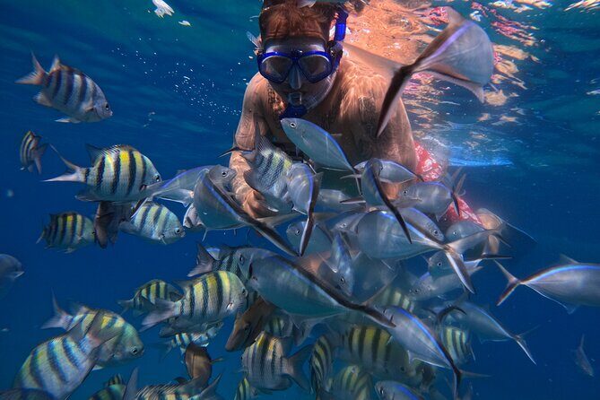 Sailing Catamaran Excursion - Frequently Asked Questions