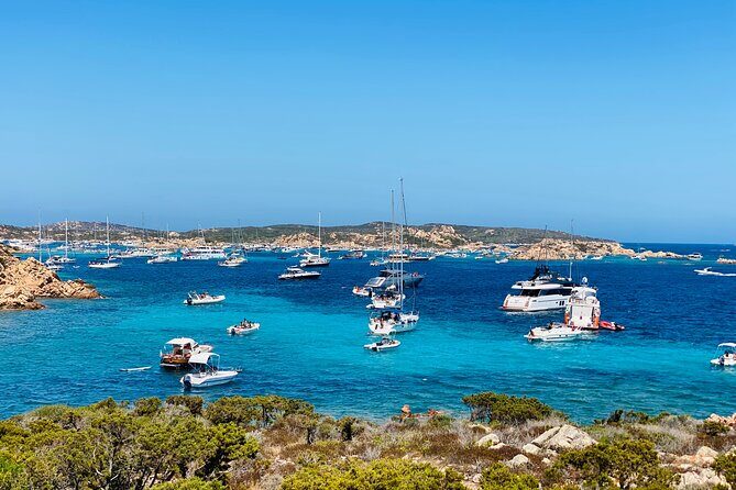 Sailing Cruise in Maddalena Archipelago from Maddalena - Key Points