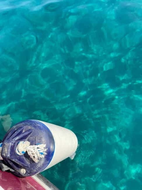 Sailing the Cilento coast: adventure, and serenity - The Sum Up