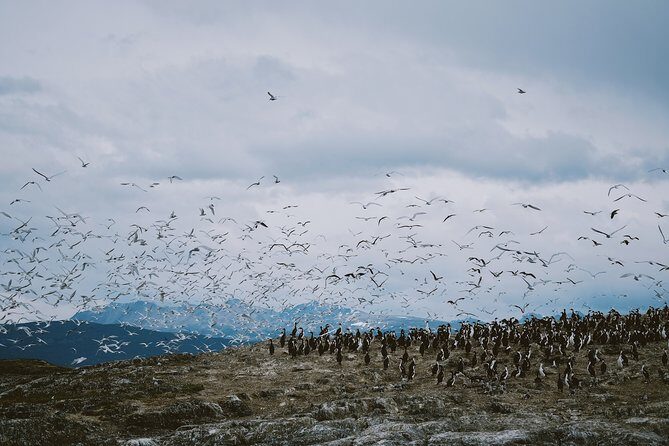 Sailing Ushuaia Beagle Channel in a yatch - Final Thoughts