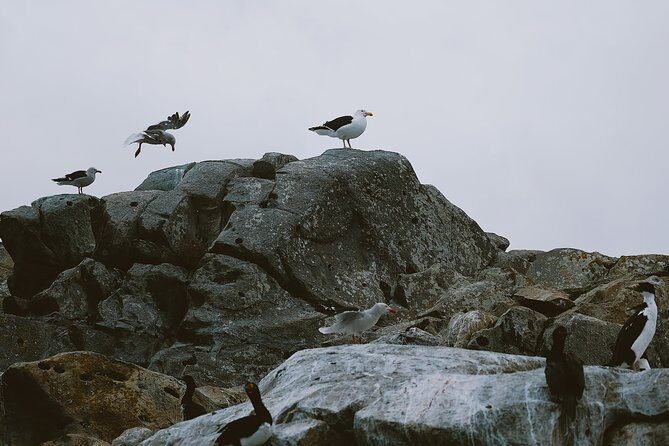Sailing Ushuaia Beagle Channel in a yatch - FAQ