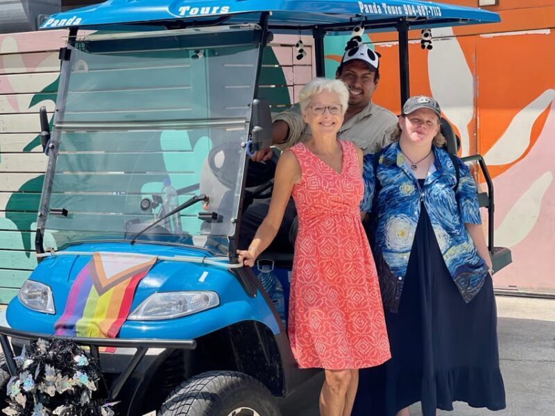 Saint Augustine: Outdoor Art Tour by Electric Golf Cart - Who Is This Tour Best For?