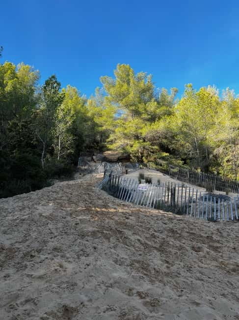 Saint-Cyr-sur-Mer: guided hike to the sand dune - The Experience Provider: B free