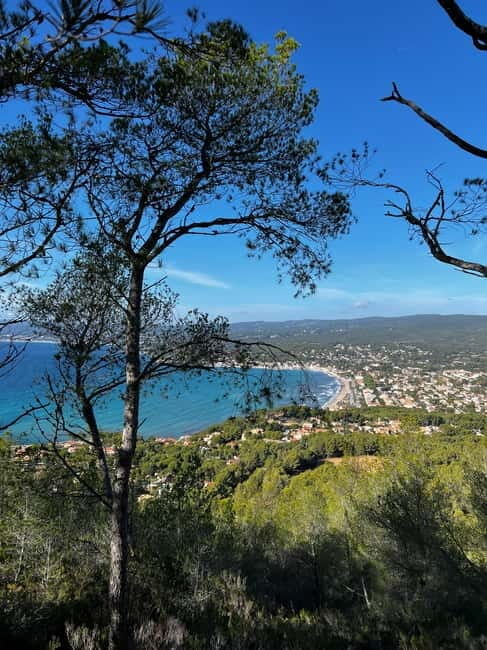 Saint-Cyr-sur-Mer: guided hike to the sand dune - Who Would Love This Tour?