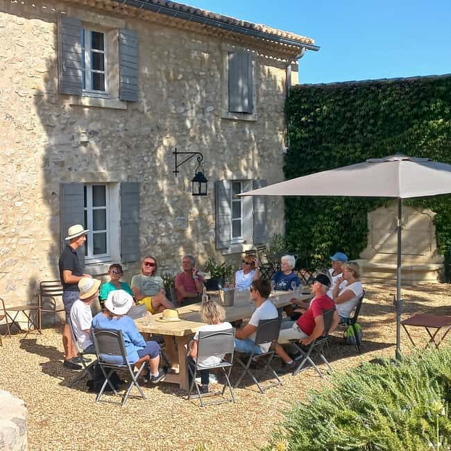 Saint-Didier: visit a vineyard & taste organic wines - A Closer Look at the Saint-Didier Organic Vineyard Tour