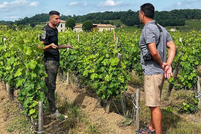 Saint-Émilion: 2 hours - Visit of the vineyard, the cellar and tasting - Exploring Saint-Émilion’s Charm with a Genuine Vineyard Tour