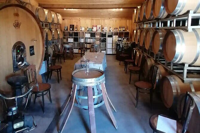 Saint-Émilion: 2 hours - Visit of the vineyard, the cellar and tasting - Final Thoughts