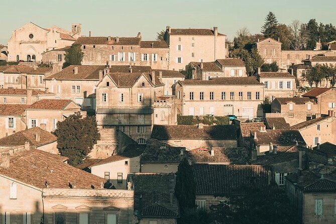 Saint Emilion Castle and Village Wine Tour - Authentic Experiences and What Youll Take Home