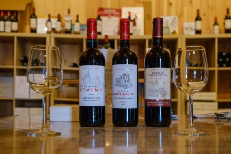 Saint-Émilion: Family Vineyard Visit with Wine Tasting - A Closer Look at the Saint-Émilion Family Vineyard Experience