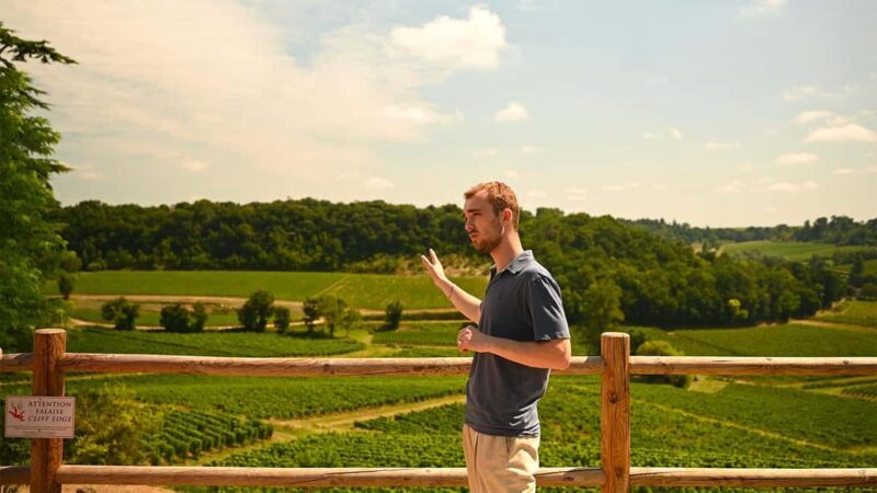 Saint-Emilion: Grand Cru Classé Gourmet Visit - Final Thoughts: Who Should Consider This Tour?