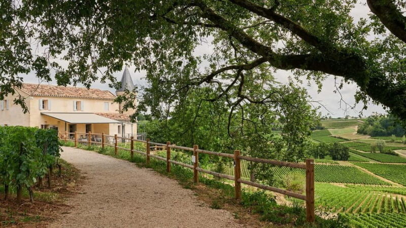 Saint-Emilion: Grand Cru Classé Guided Winery Visit & Picnic - Exploring Saint-Emilion: What to Expect from the Tour