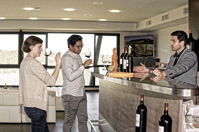 Saint-Emilion Grand Cru Classé: Visit & Tasting in English - An In-Depth Look at the Saint-Emilion Grand Cru Classé Tour