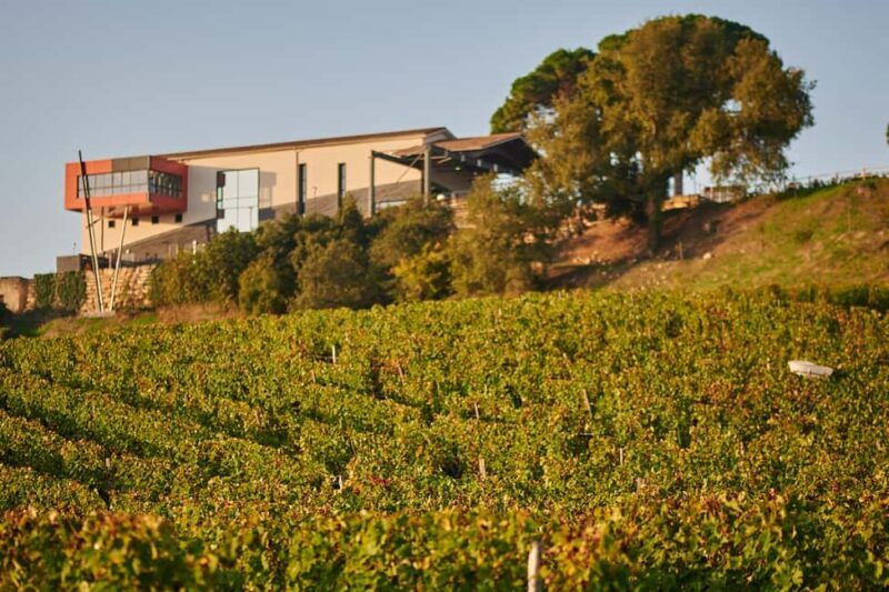Saint-Émilion: Grand Cru Classé Winery Visit and Tasting - Frequently Asked Questions