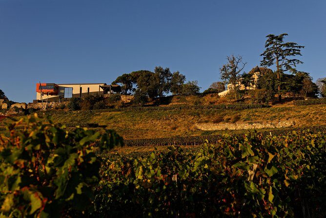 Saint-Emilion Grand Cru Classified: Picnic & Visit in French - Final Thoughts