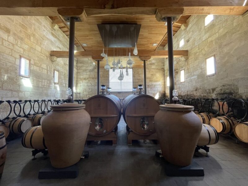 Saint-Emilion : half-day wine-tour into classified estates - Discovering Saint-Emilion: More Than Just a Pretty Village