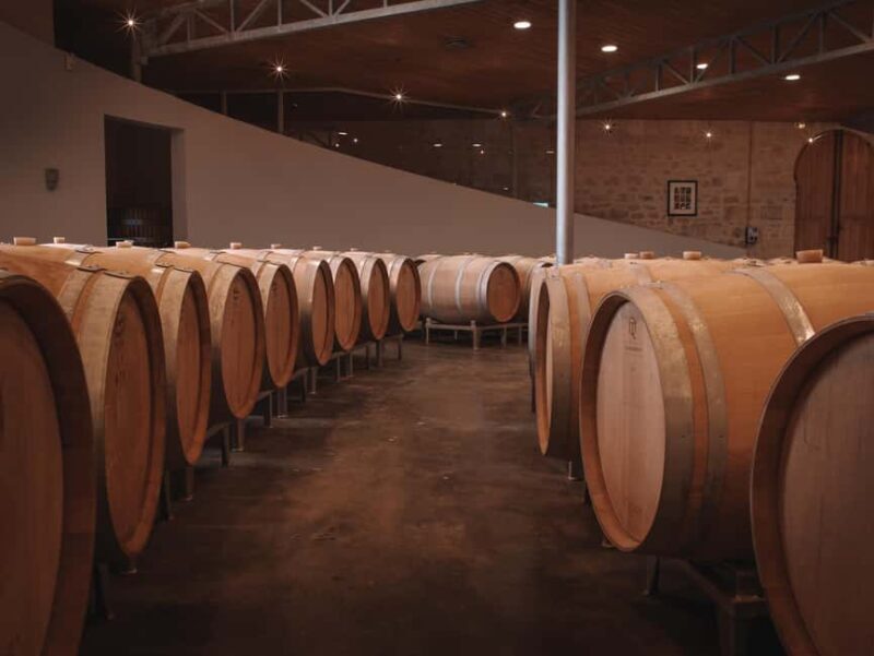 Saint-Émilion: Origin Tour - Tasting of 5 wines - A Deep Dive into the Saint-Émilion Origin Tour