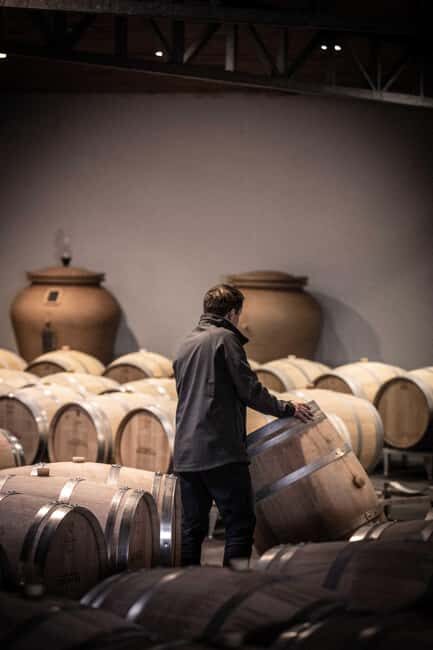 Saint-Émilion: Origin Tour - Tasting of 5 wines - FAQ