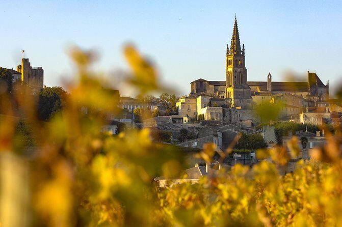 Saint-Emilion Private Full Day Wine Tour from Bordeaux - An In-Depth Look at the Saint-Emilion Private Full Day Wine Tour
