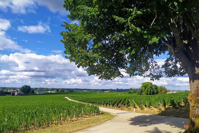 Saint-Emilion Private tour - Grand Cru Classé with an expert - Who Should Consider This Tour?