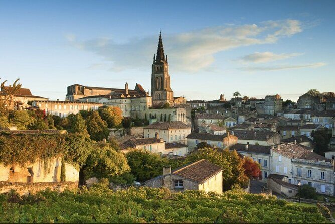 Saint-Émilion : Private Walking Tour & Magnificent Views - A Deep Dive into the Saint-Émilion Private Walking Tour