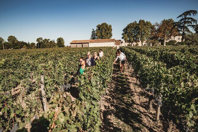 Saint-Emilion Small Group Day Tour with Wine Tastings & Lunch - Why This Tour Works Well for Travelers