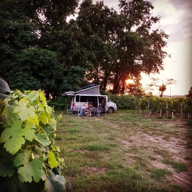 Saint-Emilion : Tasting of 4 wines in a family vineyard - The Sum Up