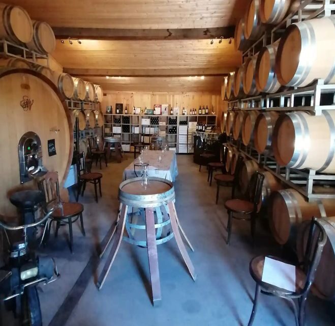 Saint-Émilion: Vineyard Walking Tour and Tasting - A Detailed Look at the Vineyard Walking Tour and Tasting Experience