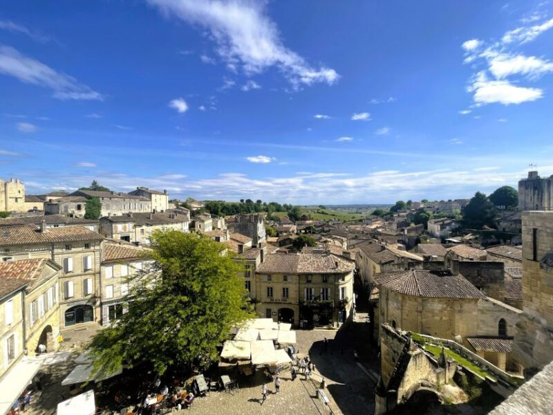 Saint-Emilion: Wine Region Tour w/ Wine Tasting & Aperitifs - Who Should Consider This Tour?