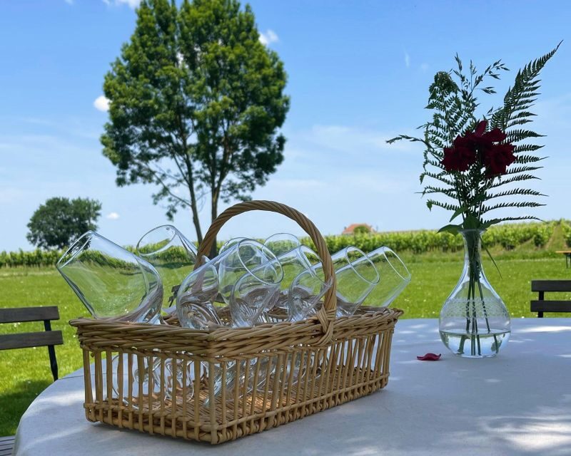Saint-Emilion: Wine Region Tour w/ Wine Tasting & Aperitifs - Final Thoughts