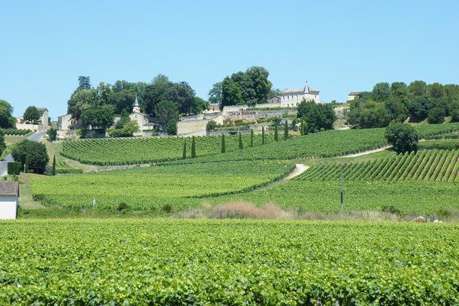 Saint Emilion Wine Tour Tasting Half Day from Bordeaux - An In-Depth Look at the Saint-Emilion Wine Tour