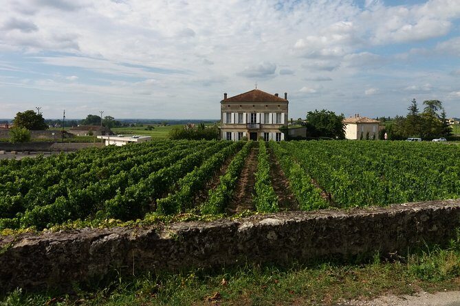 Saint Emilion Wine Tour Tasting Half Day from Bordeaux - Final Thoughts