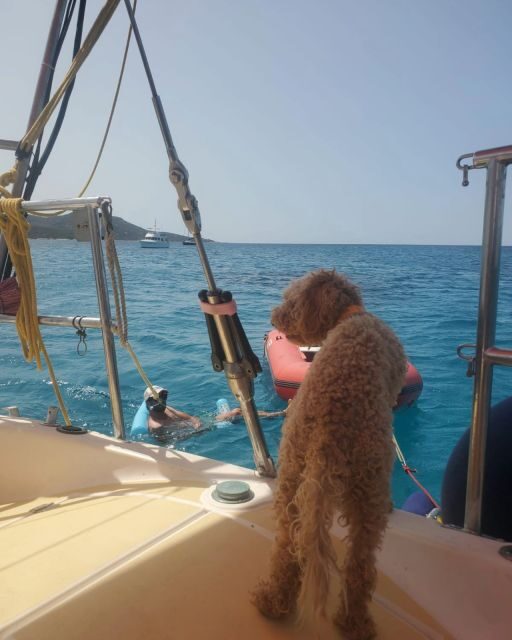 Saint-Florent: sailing excursions with Sailingmaures - Authenticity and Value