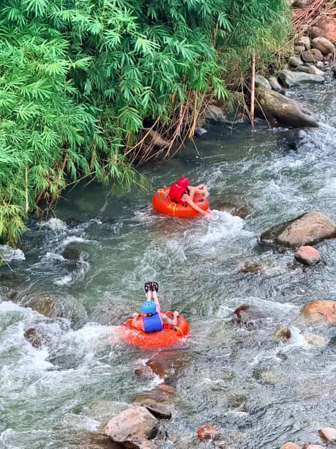 Saint George's: Grenada River Tubing & Waterfall island tour - Key Points