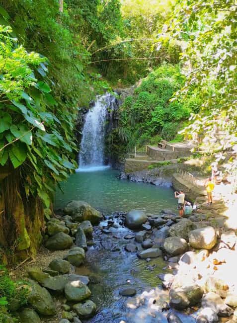 Saint George's: Grenada River Tubing & Waterfall island tour - A Deep Dive into the Experience