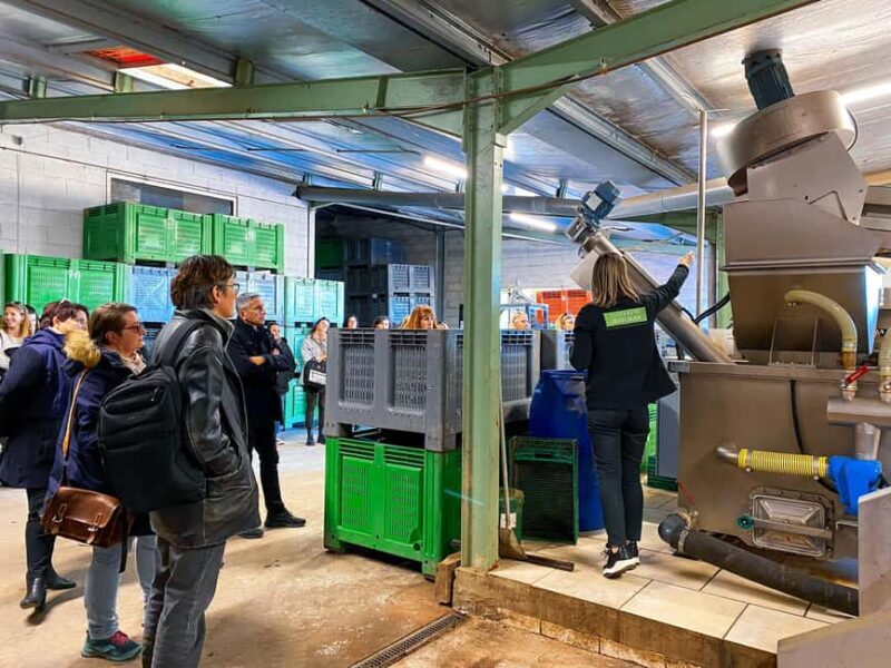 Saint Gilles: Tour of an olive oil mill in an organic olive grove - A Hands-On Look at French Olive Oil in Saint Gilles